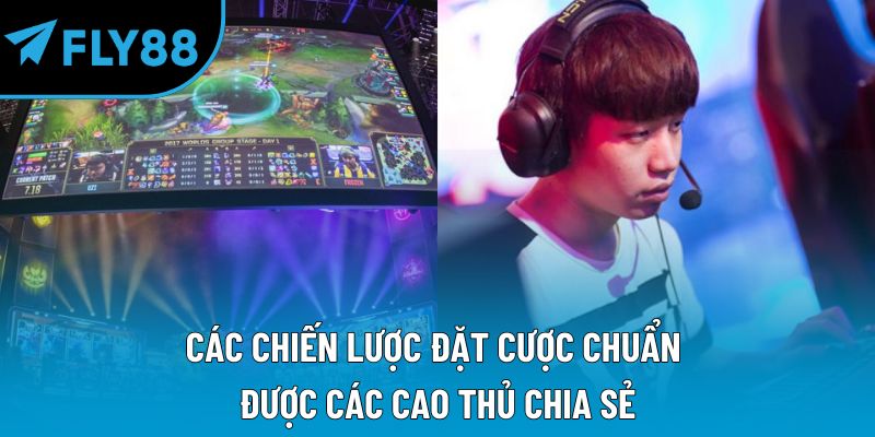 Các chiến lược đặt cược chuẩn được các cao thủ chia sẻ